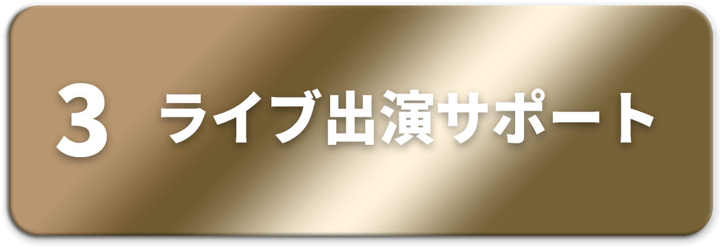 ライブ出演サポート