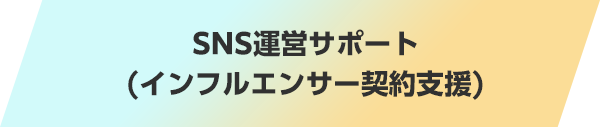 SNS運営サポート(インフルエンサー契約支援)